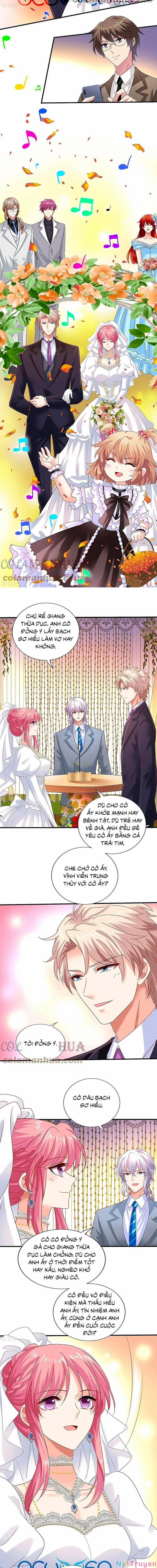 Đưa Mami Về Nhà 408 trang 2