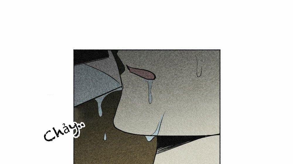 Dục Vọng ( Câu Chuyện Tình Yêu ) 16 trang 166