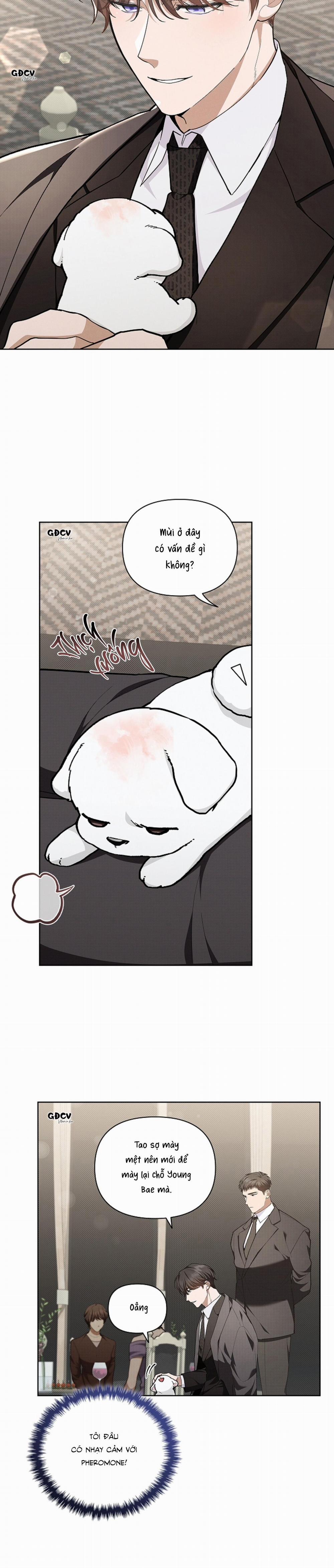 ĐỪNG CHẠM VÀO CÚN CON CỦA TÔI 11 trang 11