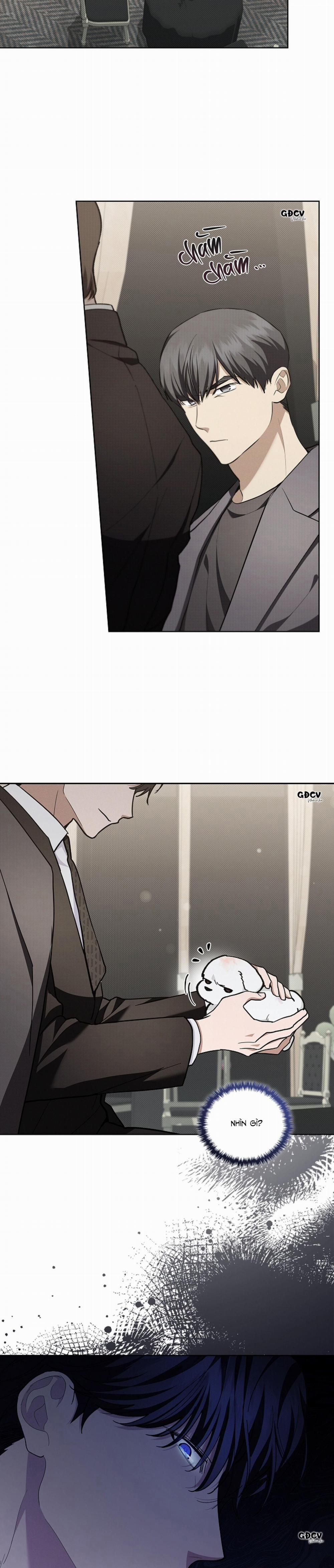 ĐỪNG CHẠM VÀO CÚN CON CỦA TÔI 11 trang 14