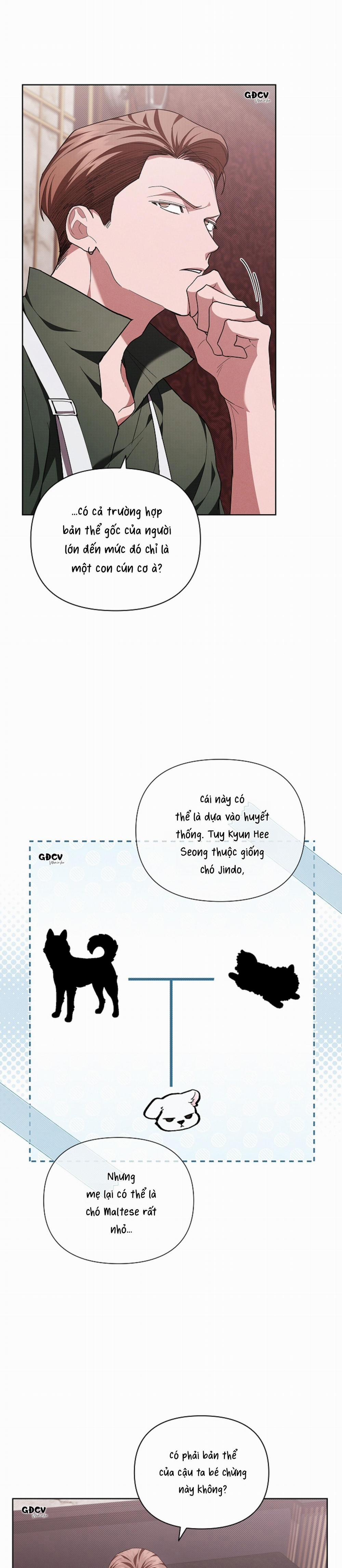 ĐỪNG CHẠM VÀO CÚN CON CỦA TÔI 11 trang 24