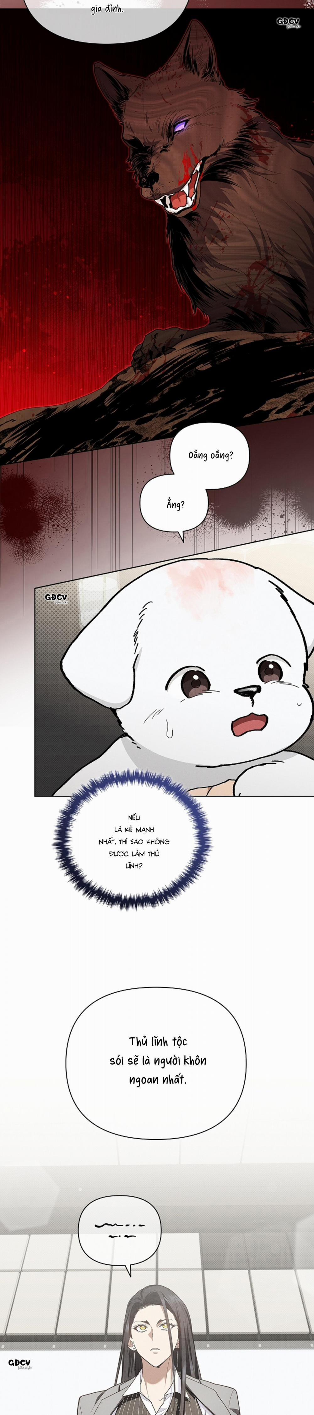 ĐỪNG CHẠM VÀO CÚN CON CỦA TÔI 11 trang 6