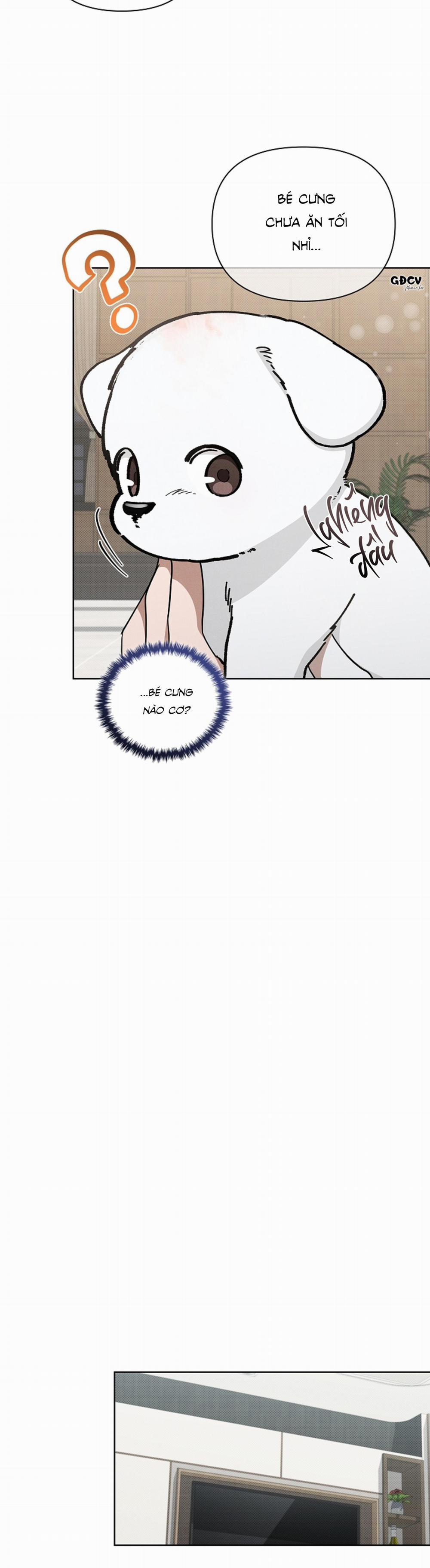 ĐỪNG CHẠM VÀO CÚN CON CỦA TÔI 12 trang 21