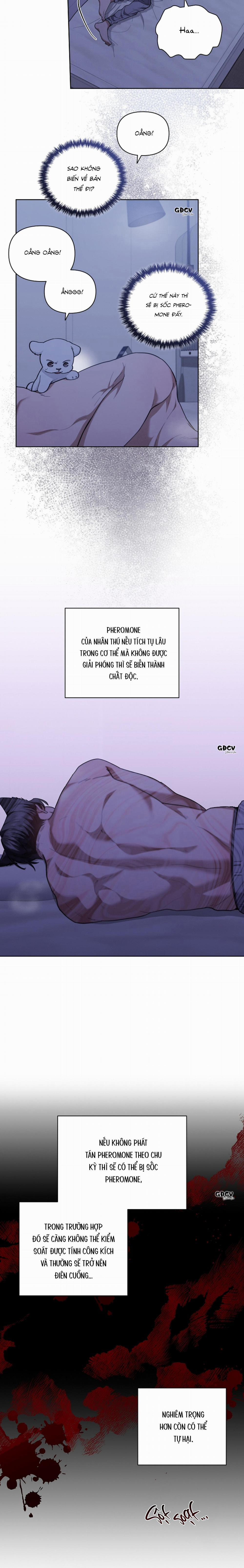 ĐỪNG CHẠM VÀO CÚN CON CỦA TÔI 12 trang 32