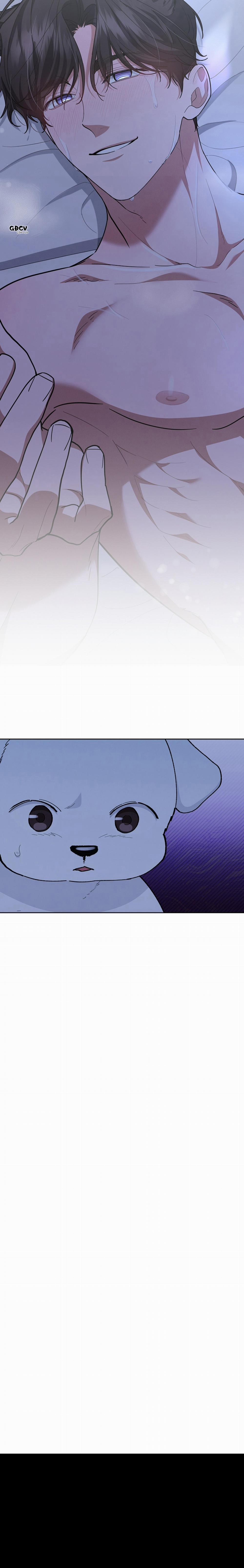 ĐỪNG CHẠM VÀO CÚN CON CỦA TÔI 12 trang 34