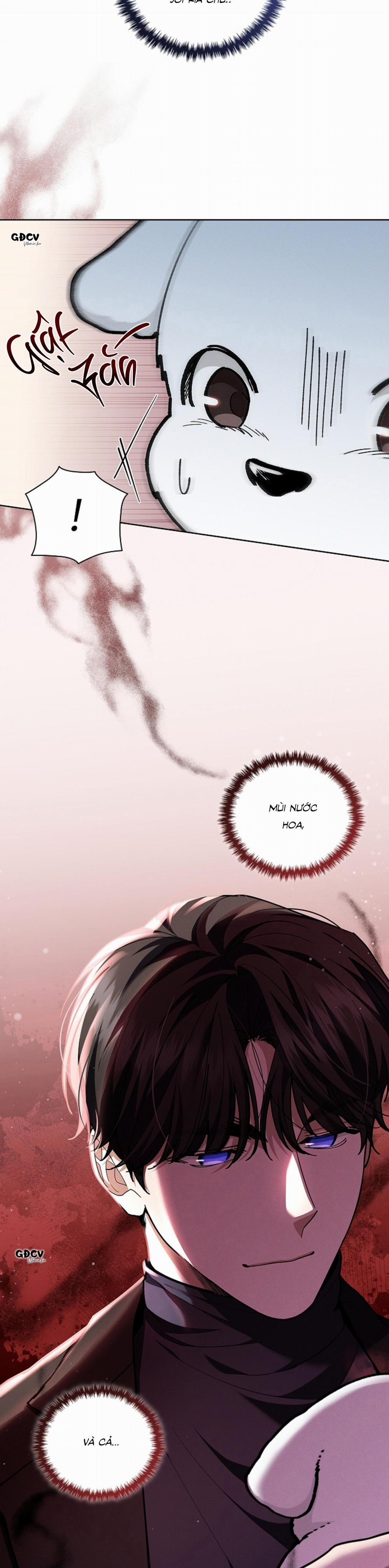 ĐỪNG CHẠM VÀO CÚN CON CỦA TÔI 12 trang 6
