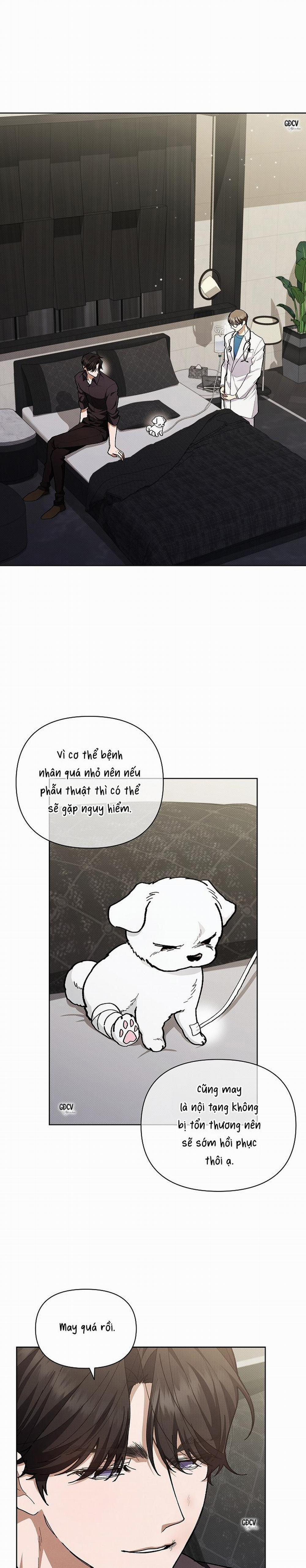 ĐỪNG CHẠM VÀO CÚN CON CỦA TÔI 4 trang 0