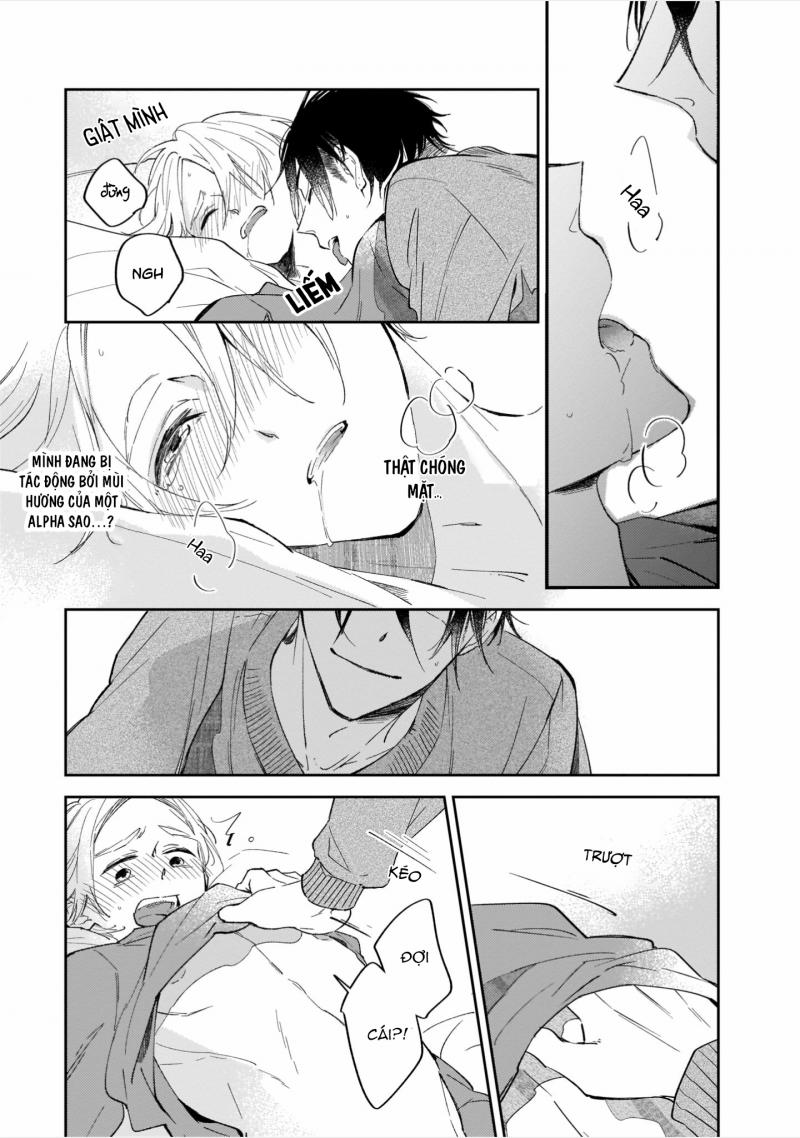 Đừng Đánh Thức Omega Của Tôi 1 trang 24