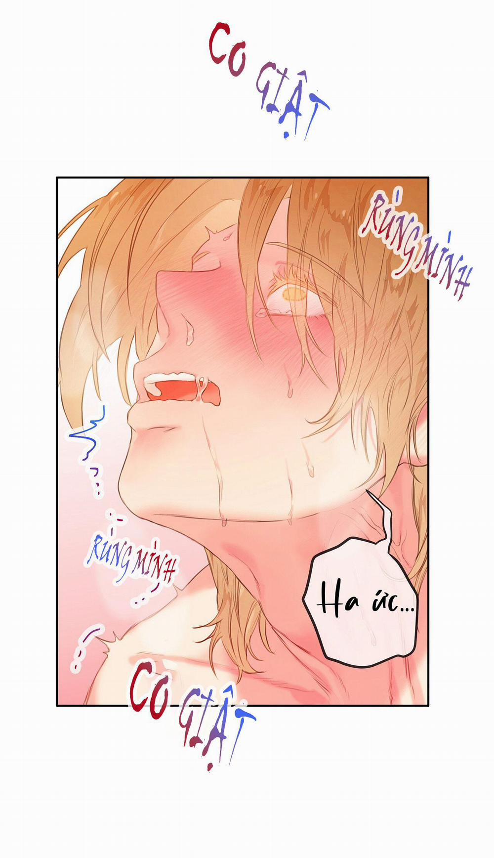 Đừng Động Không Là Cương Đó! 19 trang 41