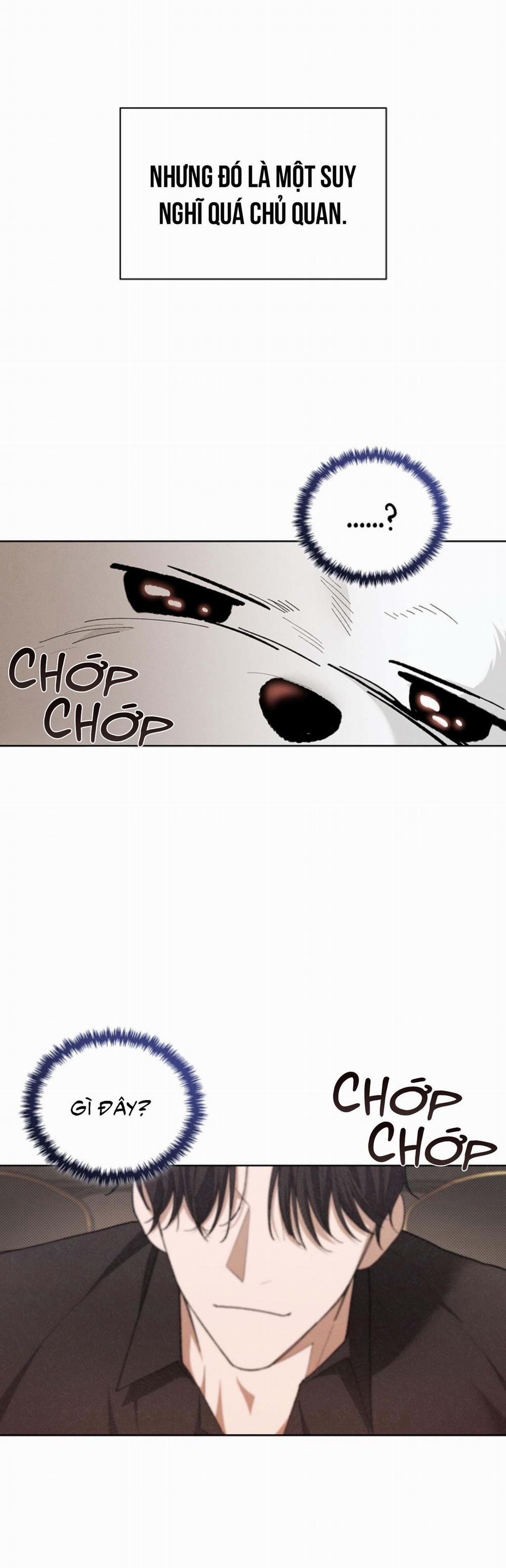 ĐỪNG ĐỘNG VÀO CÚN CON! 1 trang 38