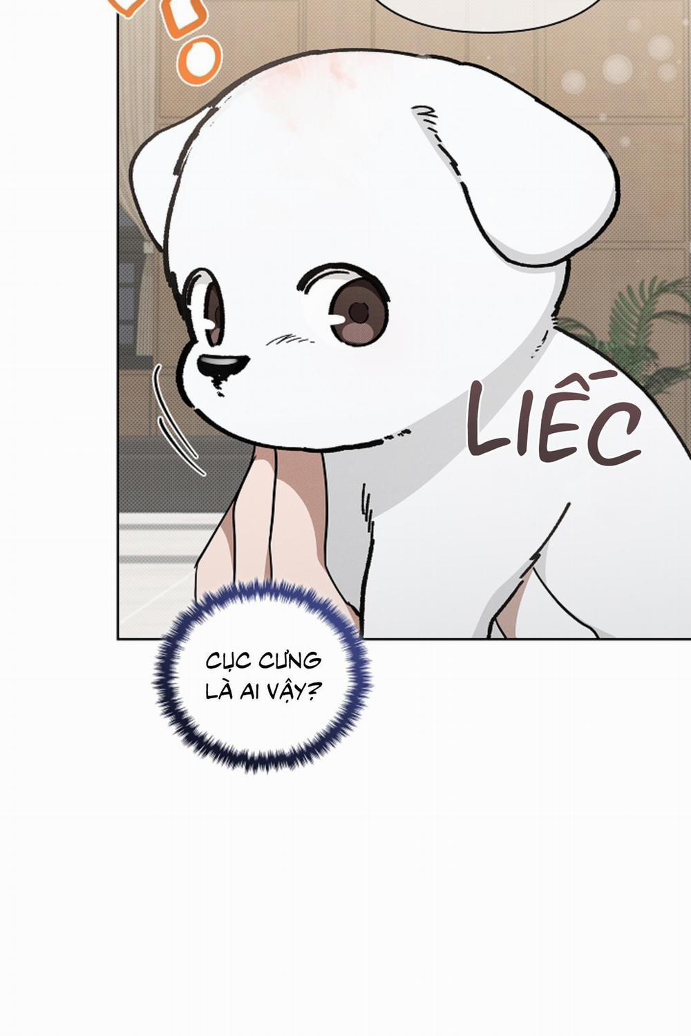 ĐỪNG ĐỘNG VÀO CÚN CON! 12 trang 54