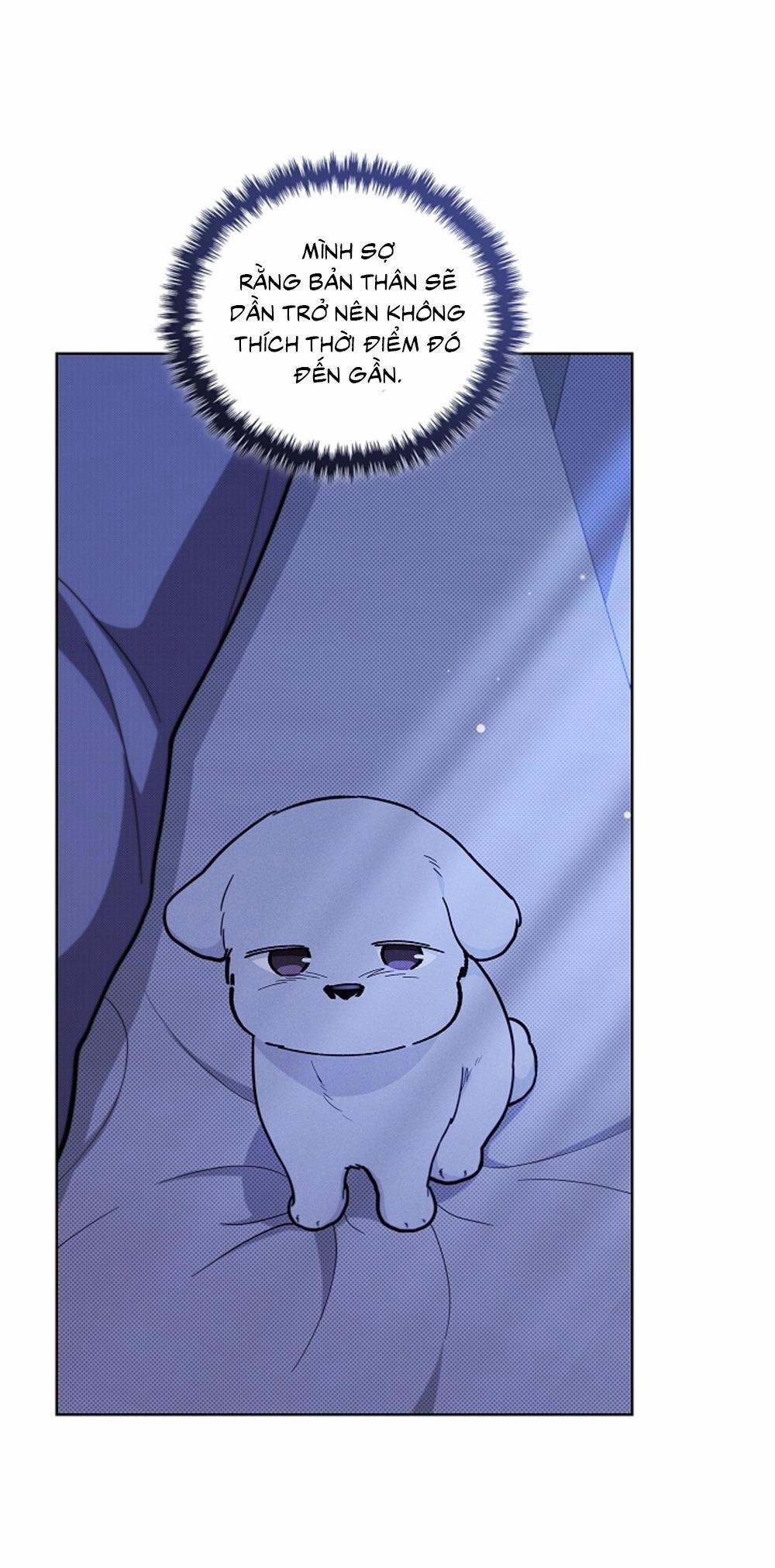 ĐỪNG ĐỘNG VÀO CÚN CON! 13 trang 13