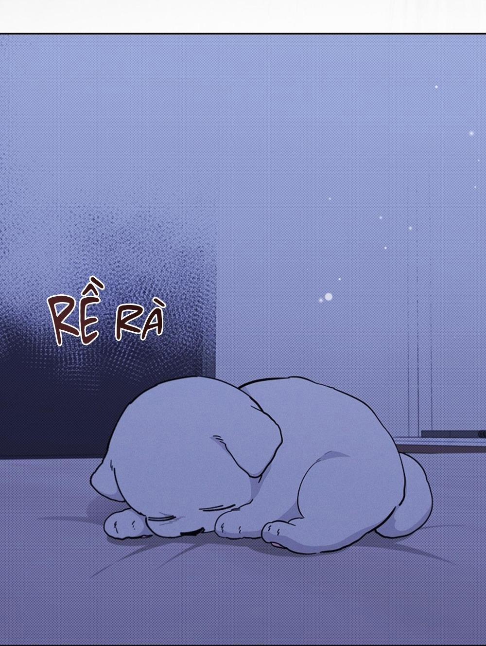 ĐỪNG ĐỘNG VÀO CÚN CON! 13 trang 16