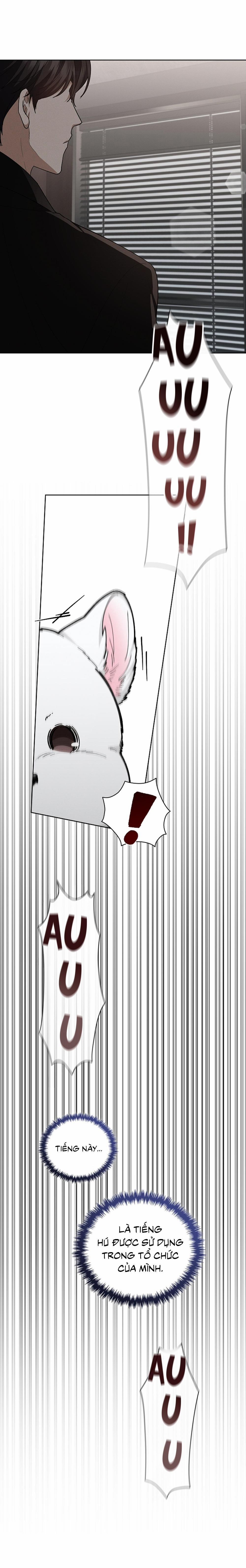 ĐỪNG ĐỘNG VÀO CÚN CON! 13 trang 34