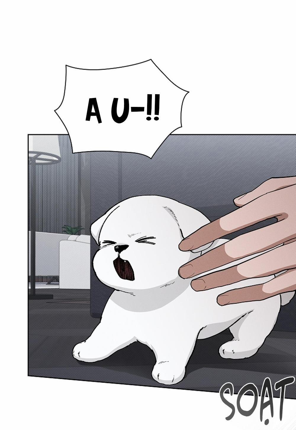 ĐỪNG ĐỘNG VÀO CÚN CON! 13 trang 47