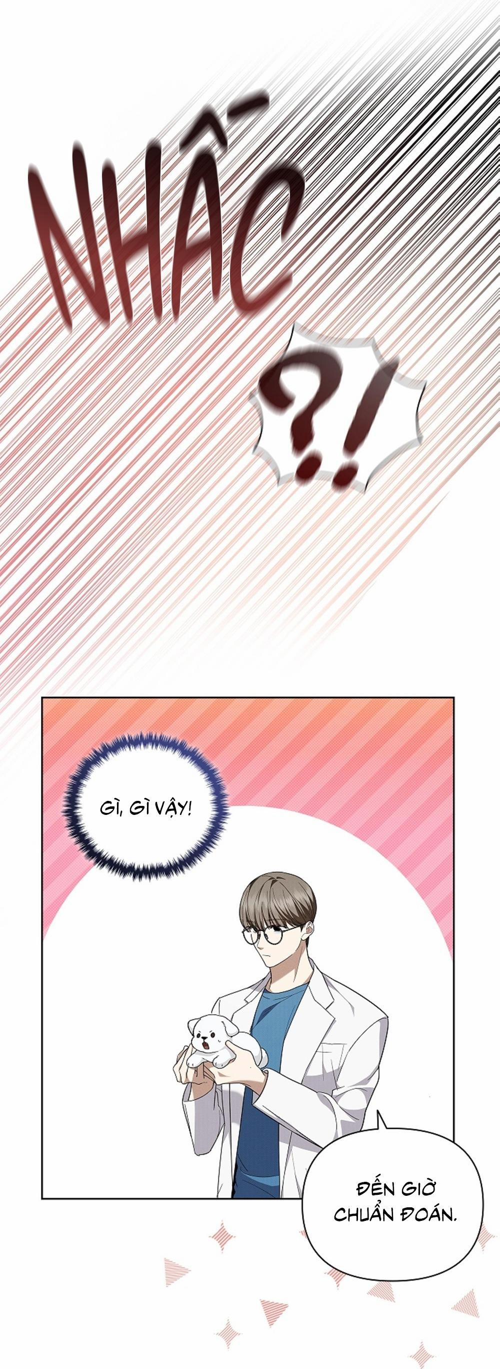 ĐỪNG ĐỘNG VÀO CÚN CON! 13 trang 48