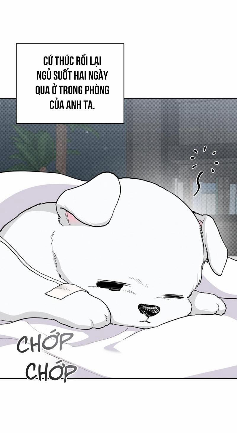 ĐỪNG ĐỘNG VÀO CÚN CON! 17 trang 30