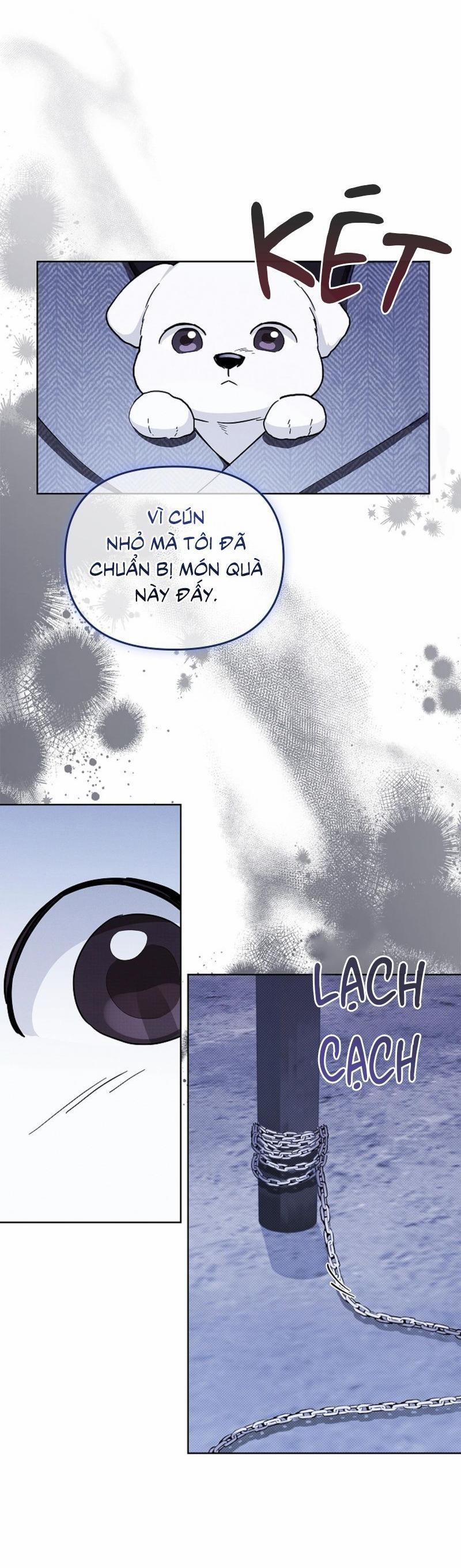 ĐỪNG ĐỘNG VÀO CÚN CON! 17 trang 39