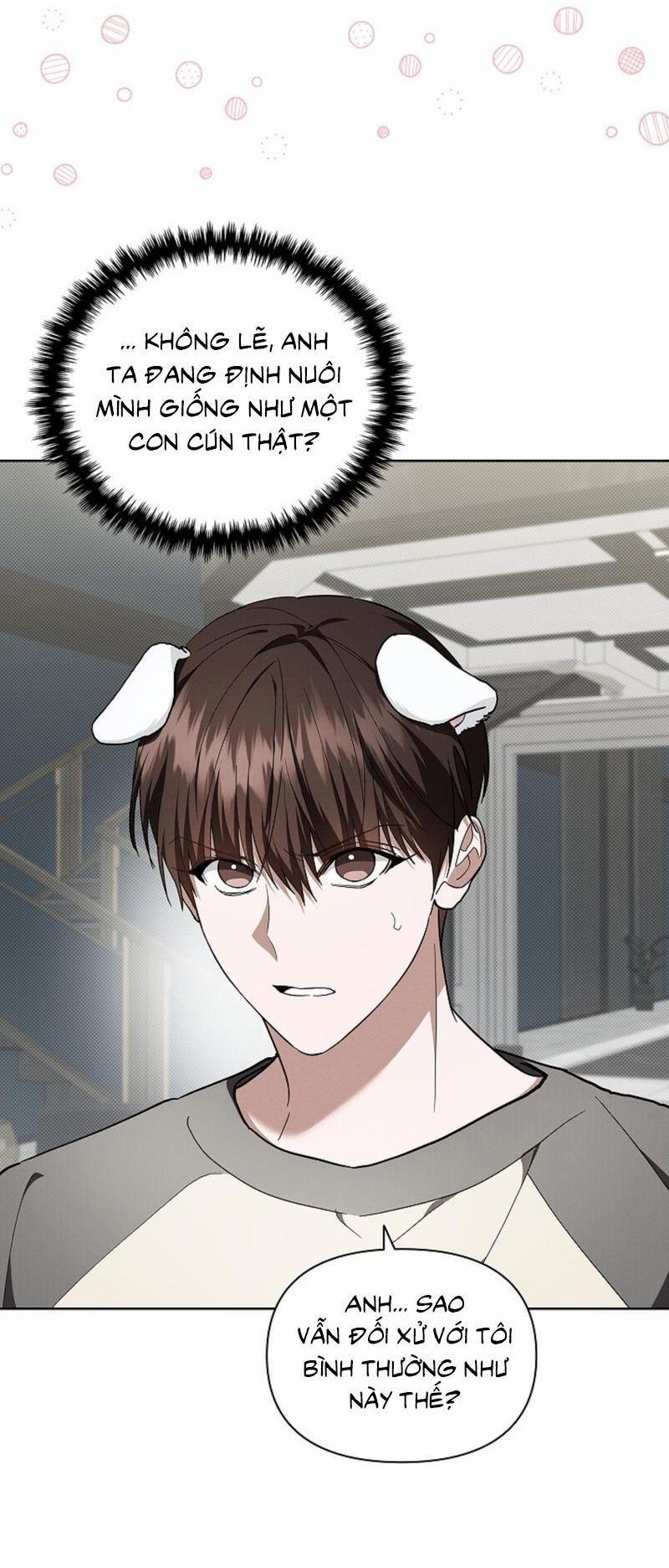ĐỪNG ĐỘNG VÀO CÚN CON! 17 trang 9