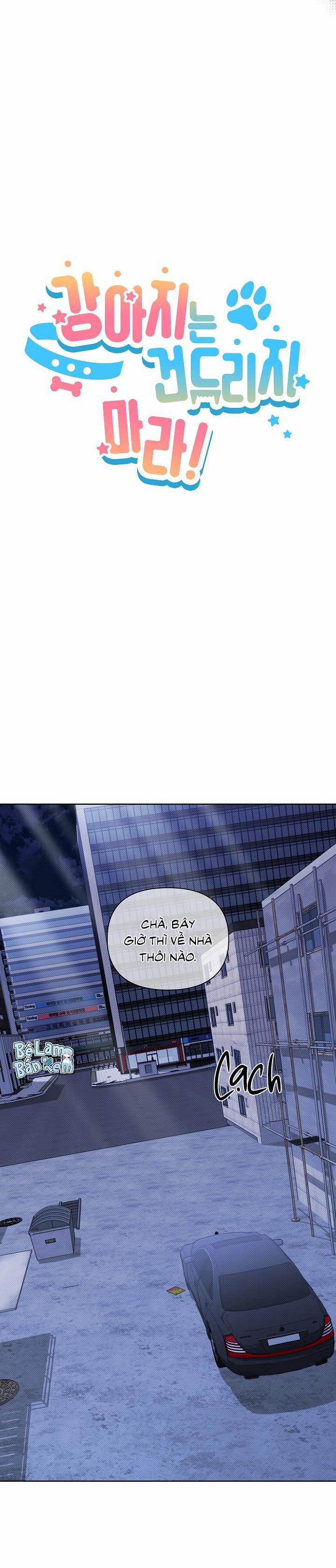 ĐỪNG ĐỘNG VÀO CÚN CON! 18 trang 12