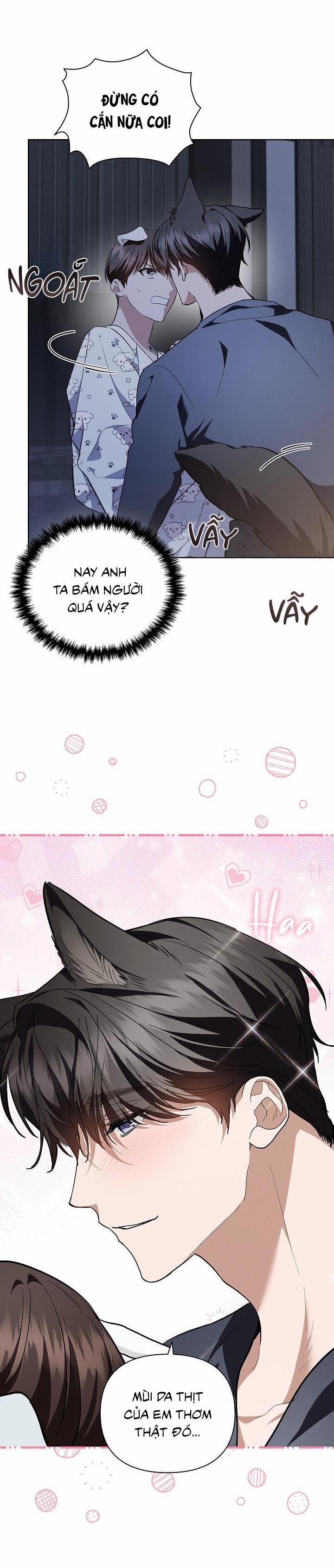ĐỪNG ĐỘNG VÀO CÚN CON! 18 trang 33