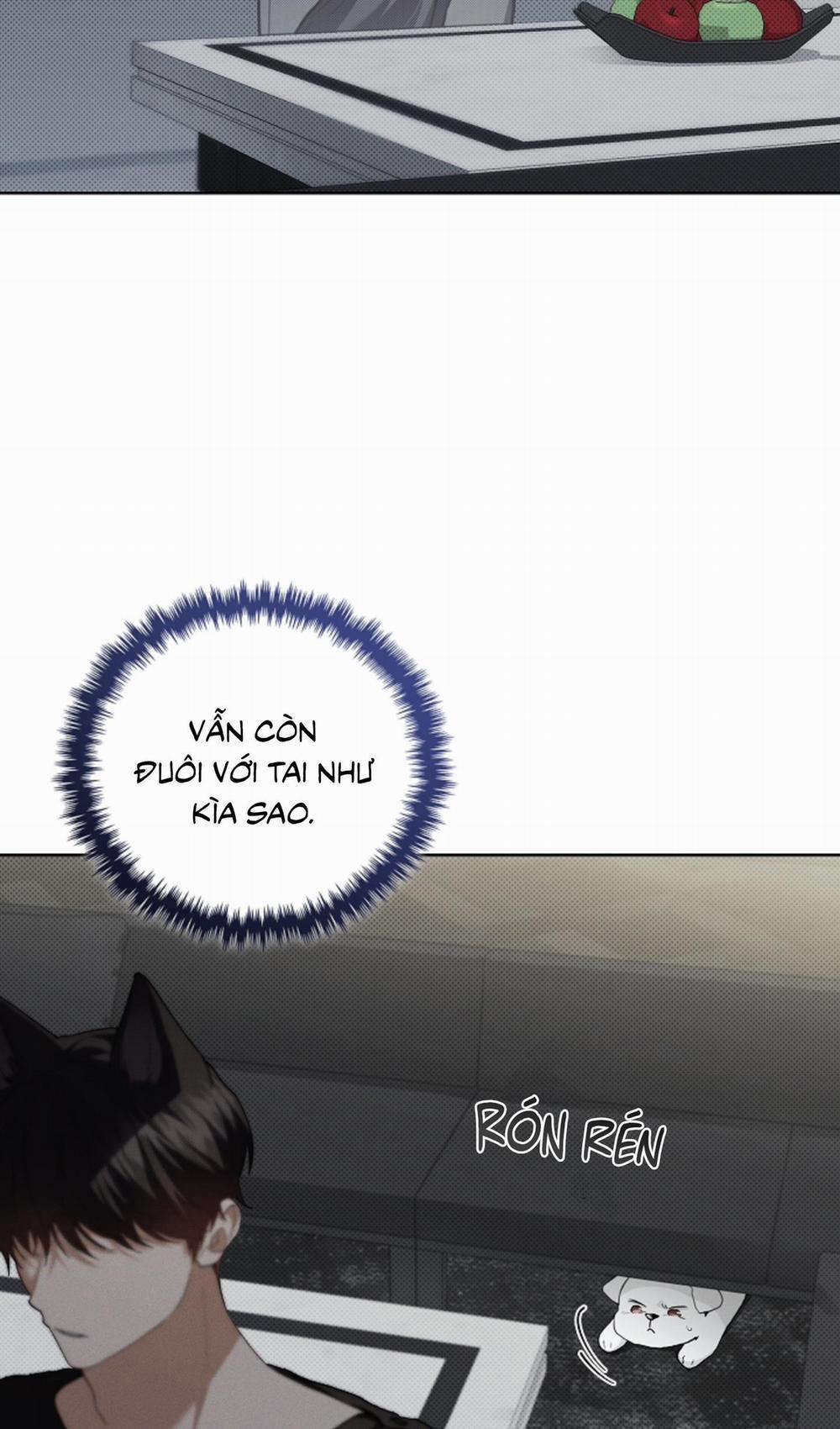 ĐỪNG ĐỘNG VÀO CÚN CON! 19 trang 44