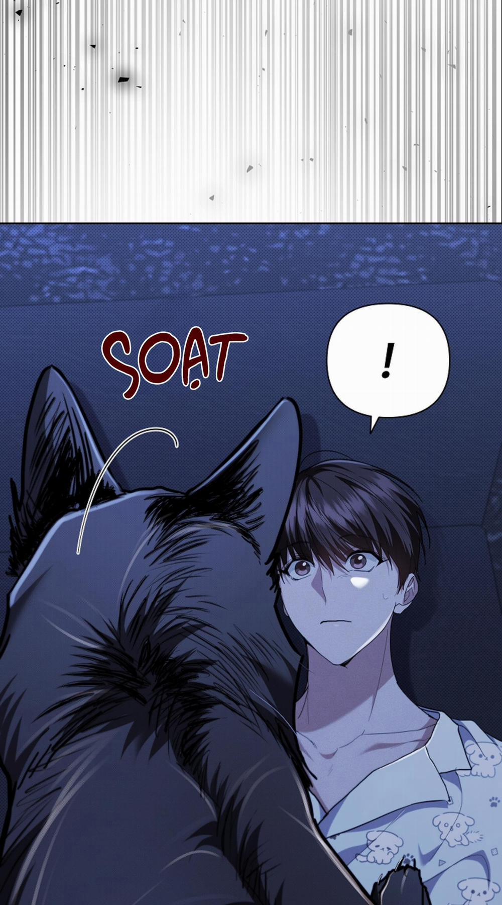 ĐỪNG ĐỘNG VÀO CÚN CON! 19 trang 8