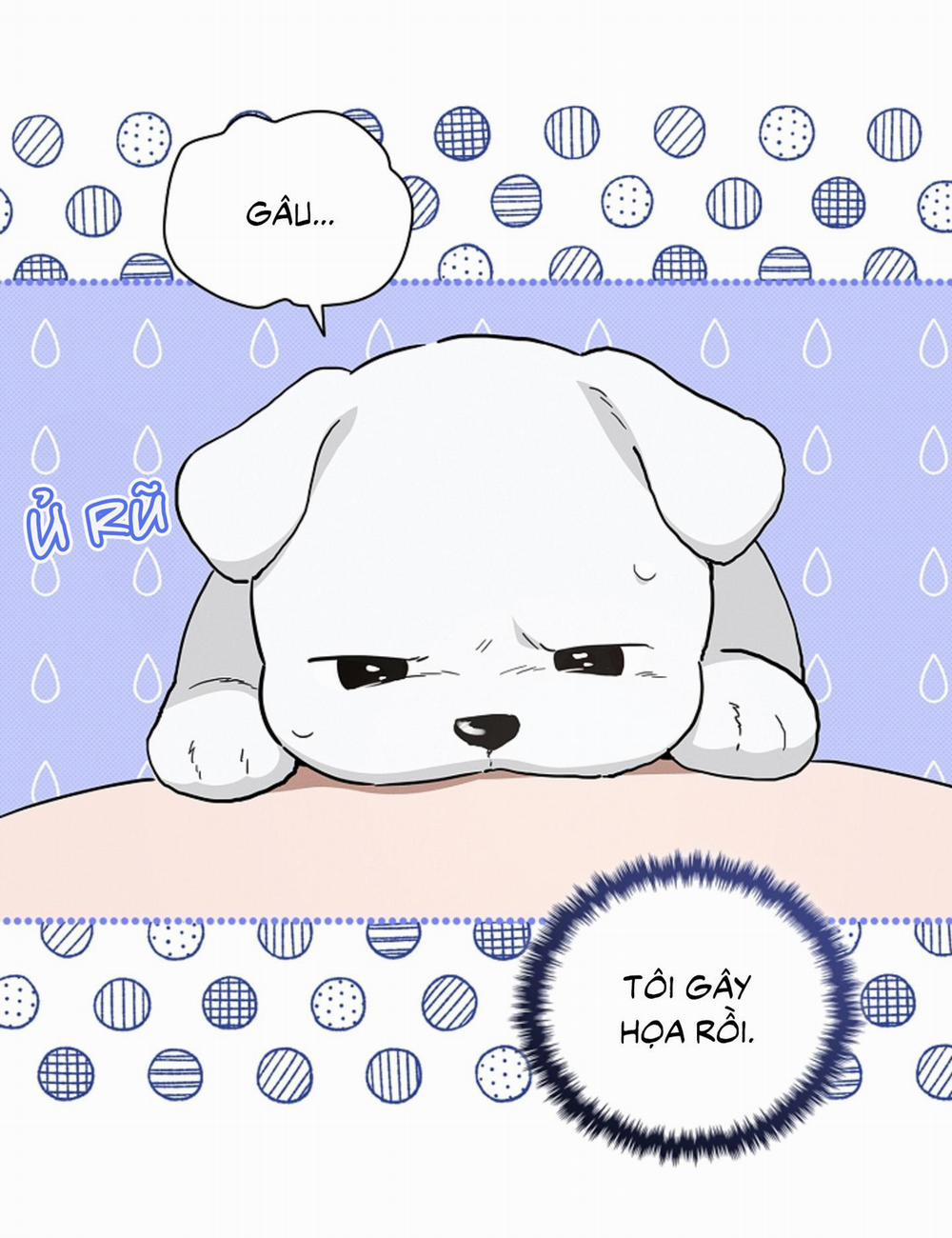 ĐỪNG ĐỘNG VÀO CÚN CON! 21 trang 64