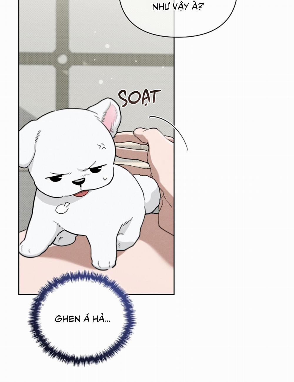 ĐỪNG ĐỘNG VÀO CÚN CON! 21 trang 70