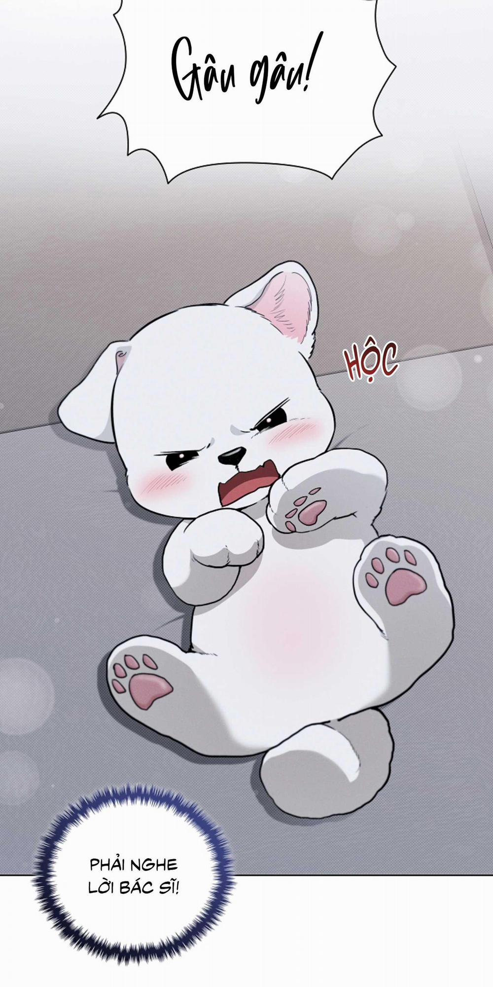 ĐỪNG ĐỘNG VÀO CÚN CON! 23 trang 10