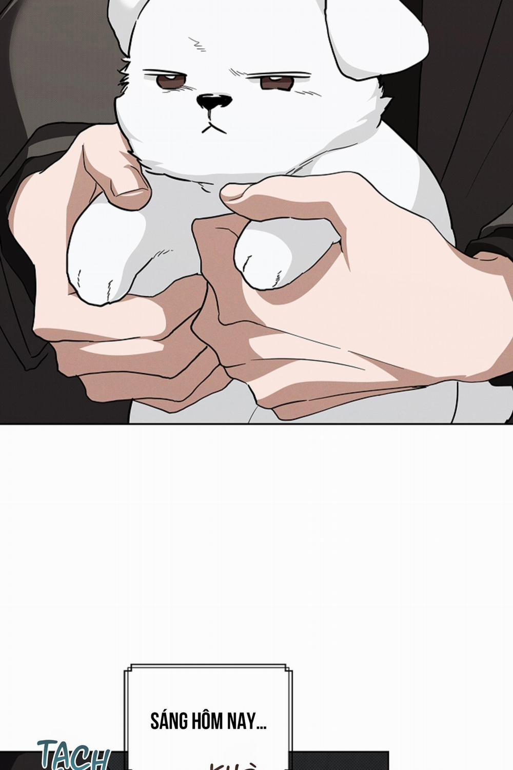 ĐỪNG ĐỘNG VÀO CÚN CON! 28 trang 41