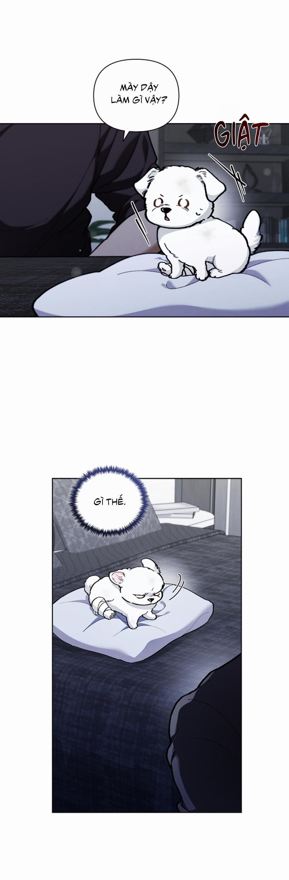 ĐỪNG ĐỘNG VÀO CÚN CON! 3 trang 54