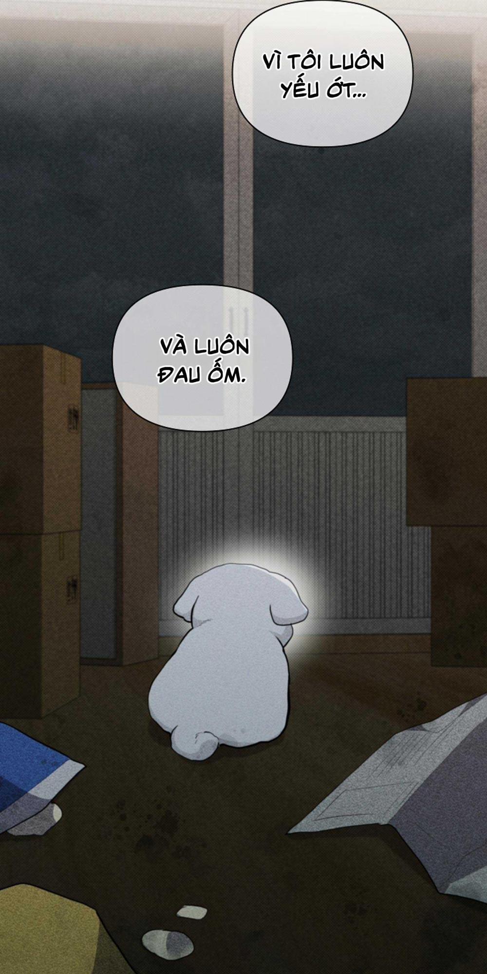 ĐỪNG ĐỘNG VÀO CÚN CON! 30 END SS1 trang 54