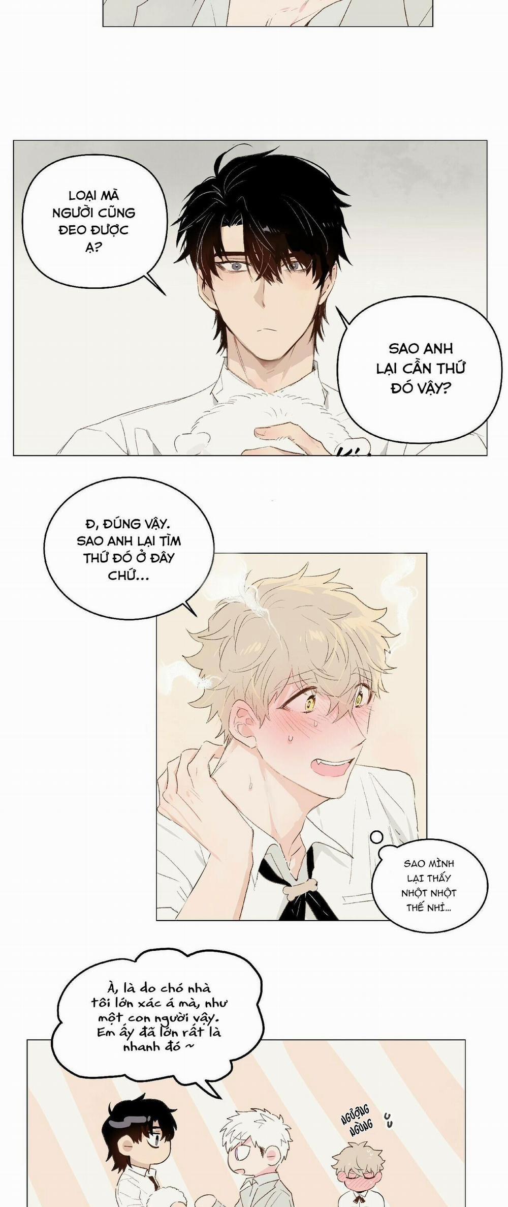 ĐỪNG ĐƯA DÂY XÍCH CHO ANH ẤY 7 trang 14