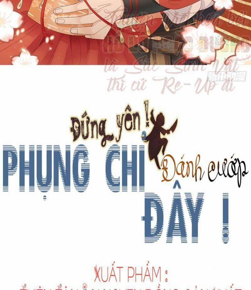 Đứng Lại! Phụng Chỉ Ăn Cướp 40 trang 1