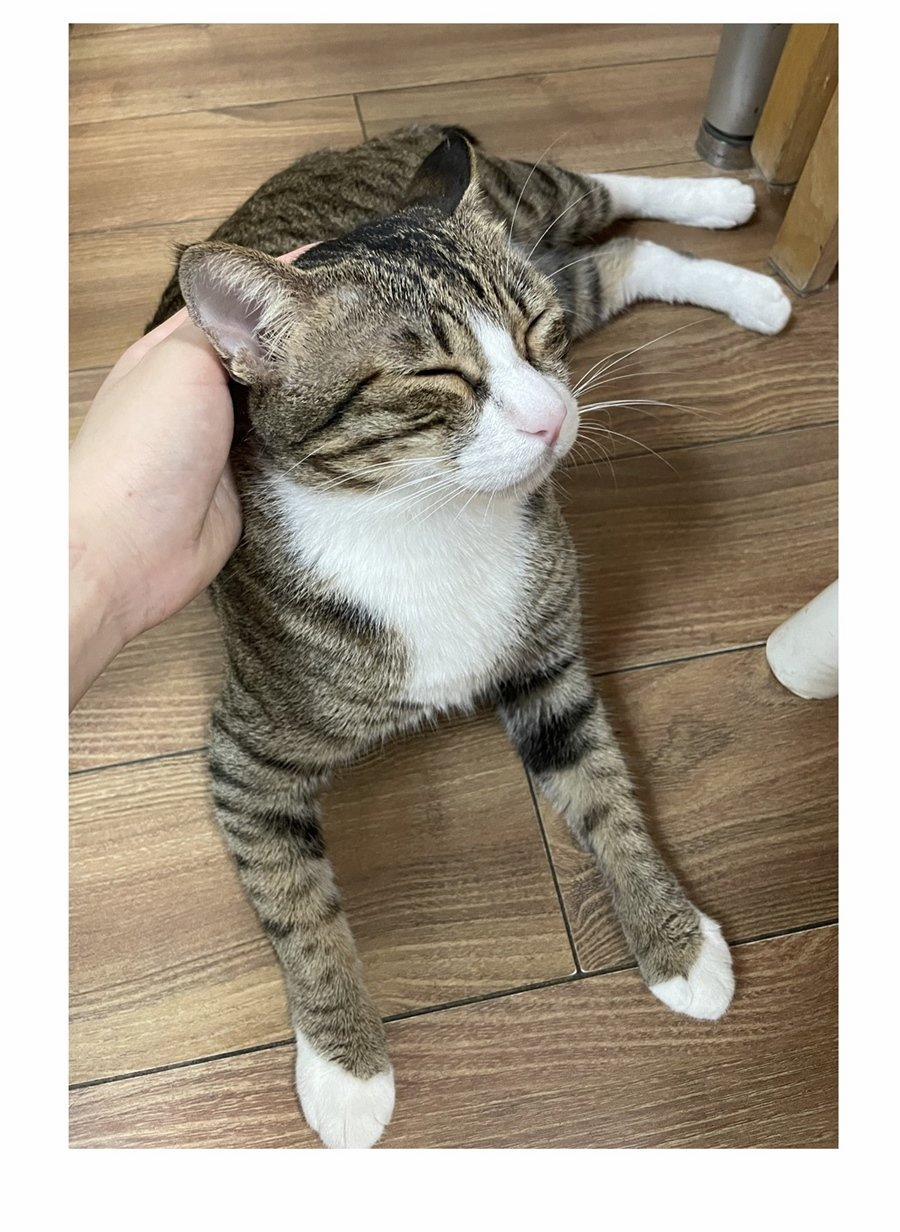 Đừng Nói Yêu Tôi (Don't Say You Love Me) 52.5 trang 6