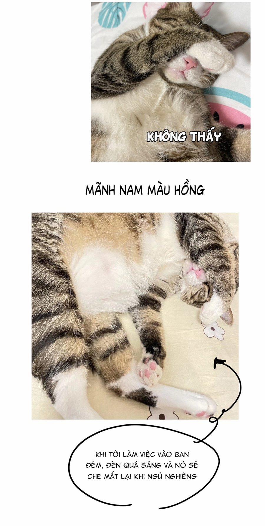 Đừng Nói Yêu Tôi (Don't Say You Love Me) 52.5 trang 9