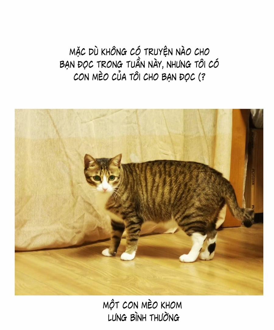 Đừng Nói Yêu Tôi 52.5 trang 2