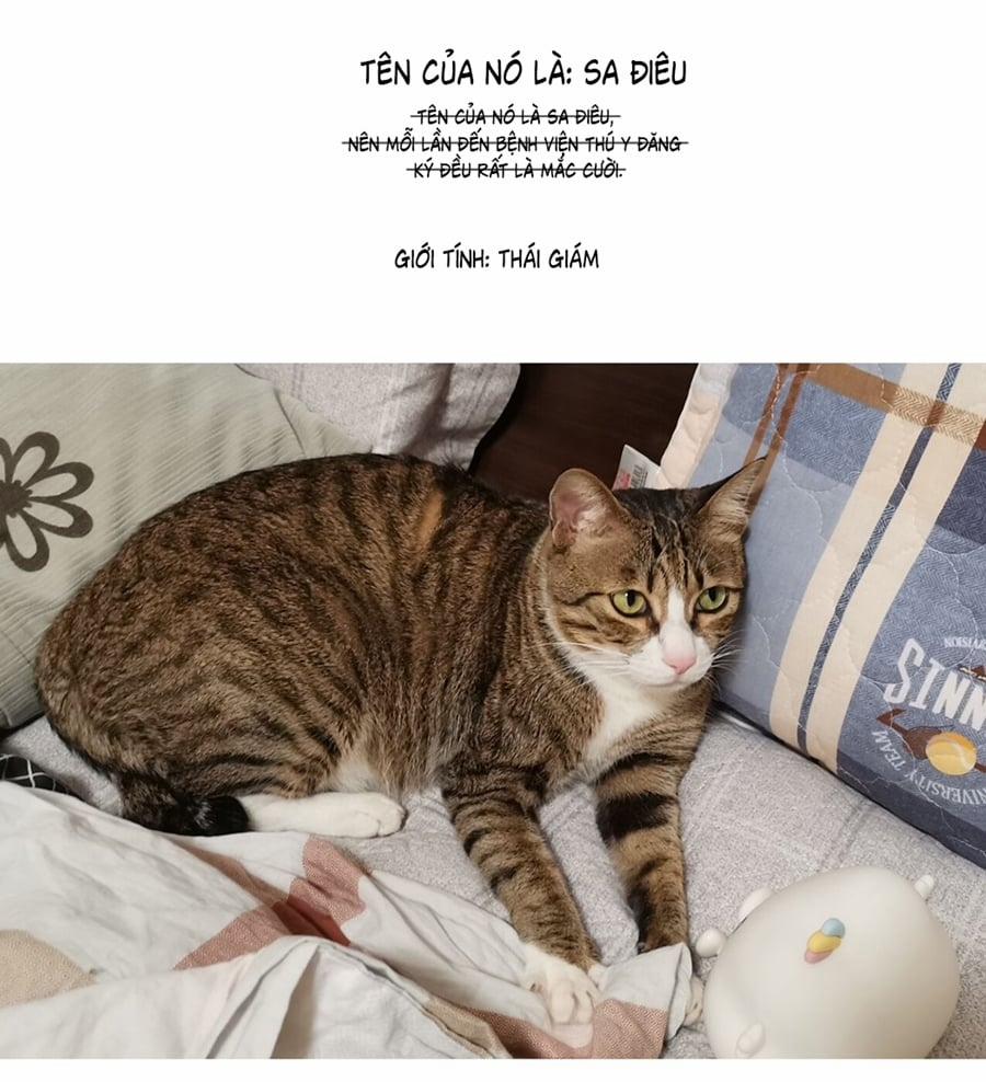 Đừng Nói Yêu Tôi 52.5 trang 3