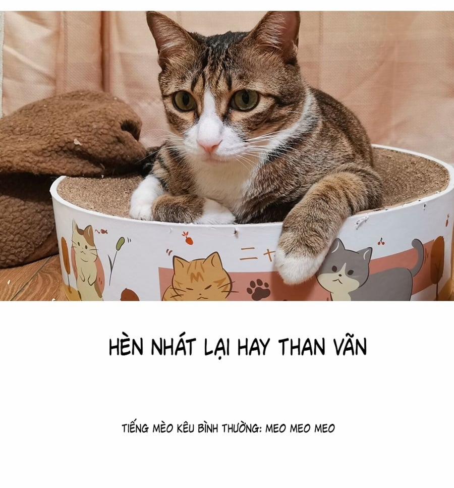 Đừng Nói Yêu Tôi 52.5 trang 4