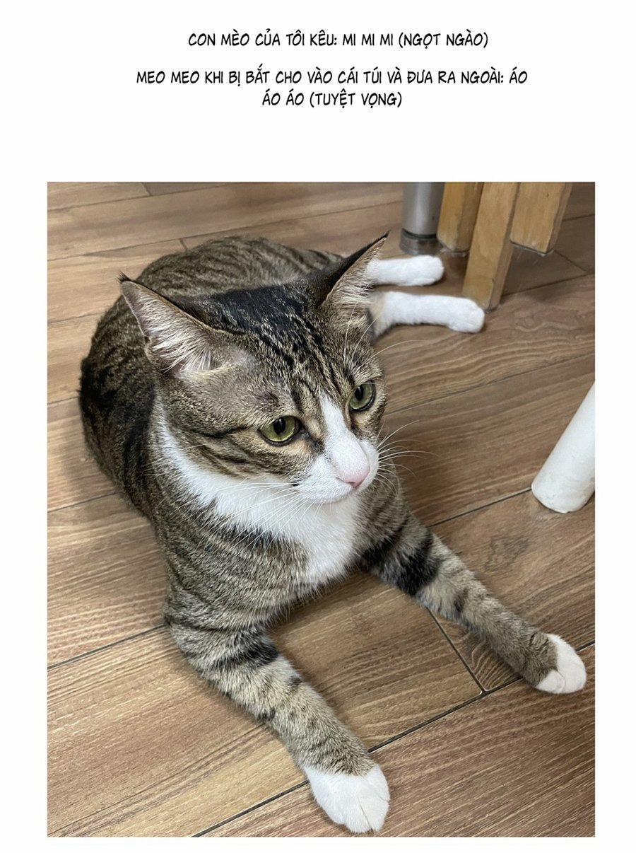 Đừng Nói Yêu Tôi 52.5 trang 5