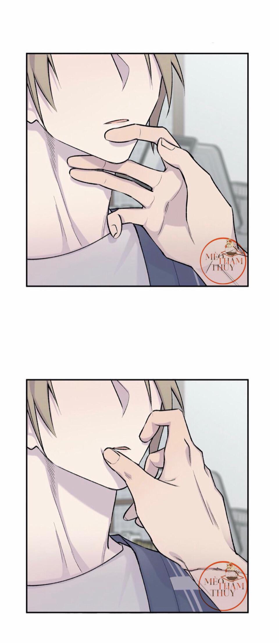 Đừng Viết Nữa, Tác Giả Thân Mến! 11 trang 8