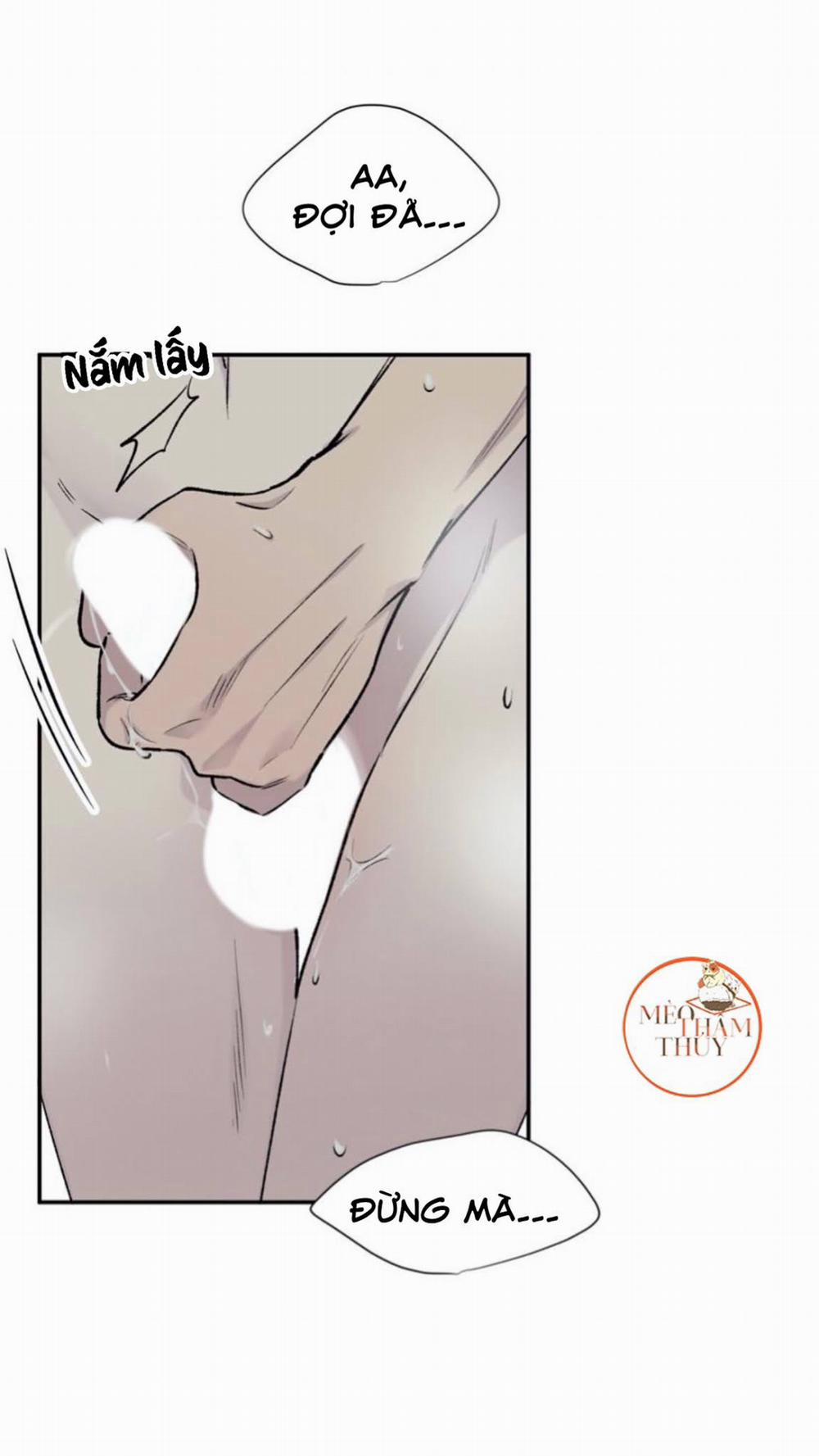 Đừng Viết Nữa, Tác Giả Thân Mến! 13 trang 7