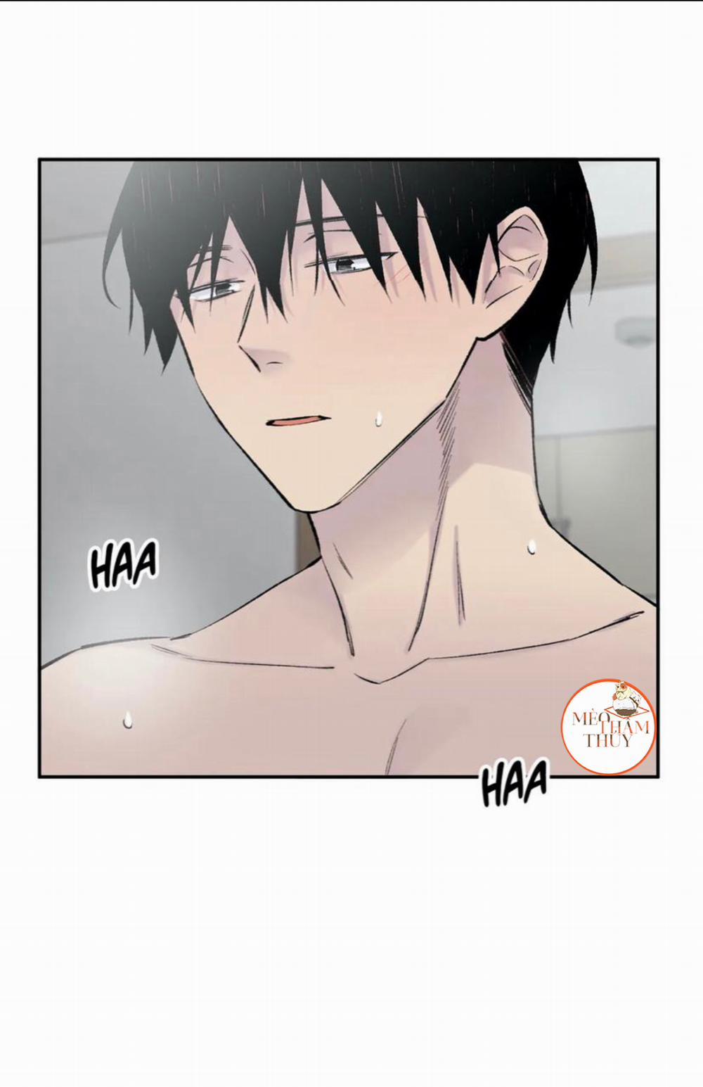 Đừng Viết Nữa, Tác Giả Thân Mến! 15 trang 13