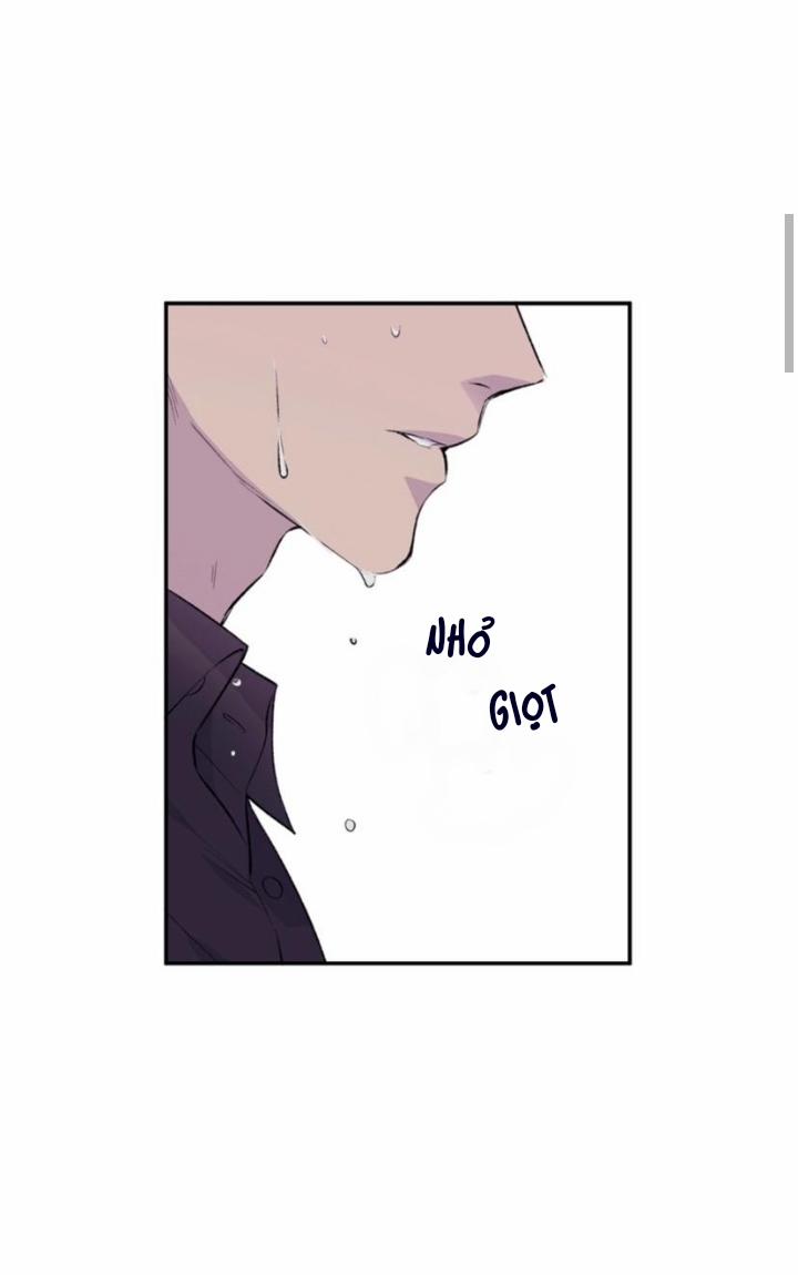 Đừng Viết Nữa, Tác Giả Thân Mến! 2 trang 8