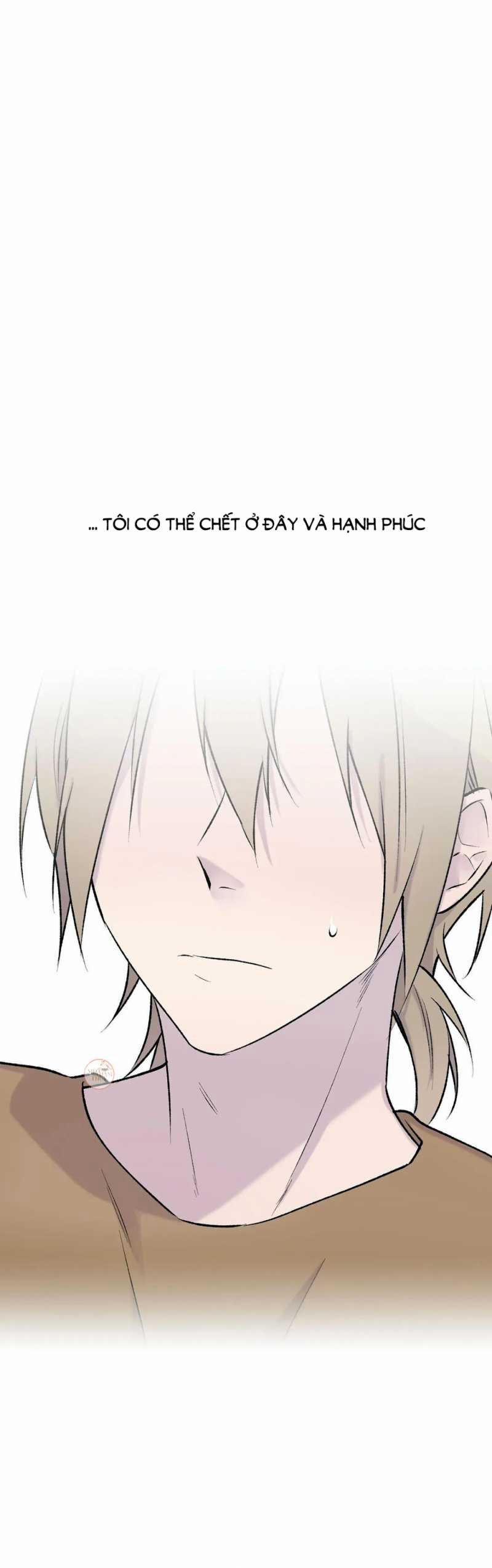 Đừng Viết Nữa, Tác Giả Thân Mến! 30 trang 3