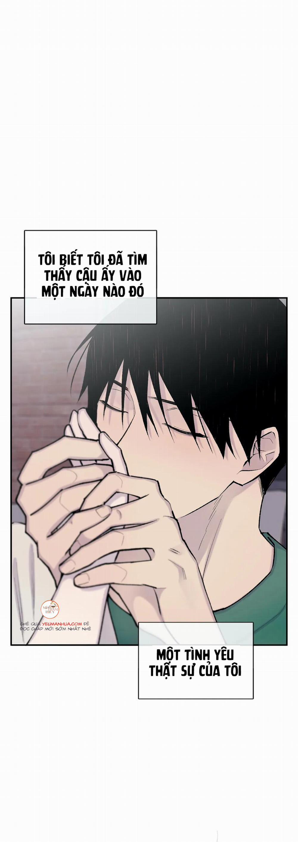 Đừng Viết Nữa, Tác Giả Thân Mến! 38 trang 22