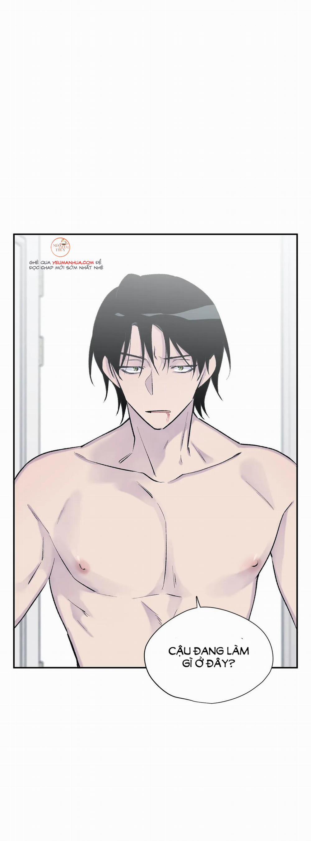 Đừng Viết Nữa, Tác Giả Thân Mến! 42 trang 4