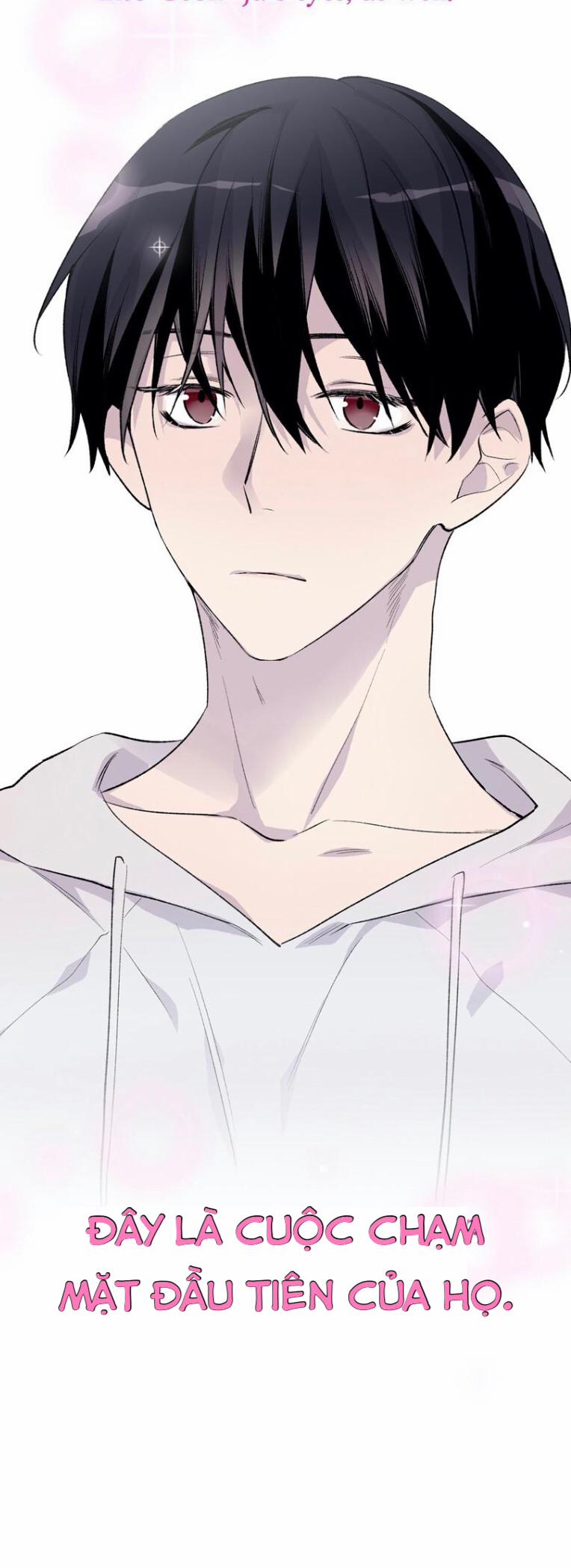 Đừng Viết Nữa, Tác Giả Thân Mến! 5 trang 62