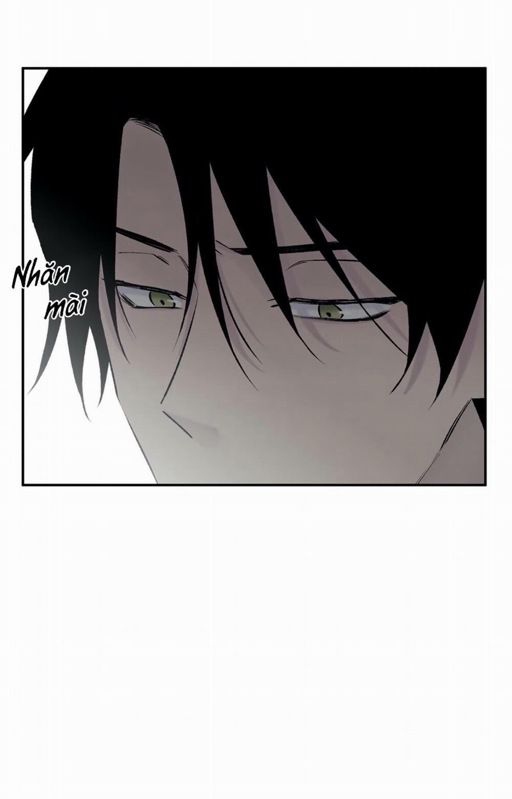 Đừng Viết Nữa, Tác Giả Thân Mến! 51 trang 12